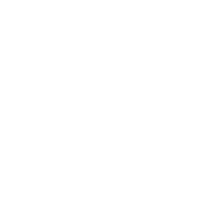 reix.png